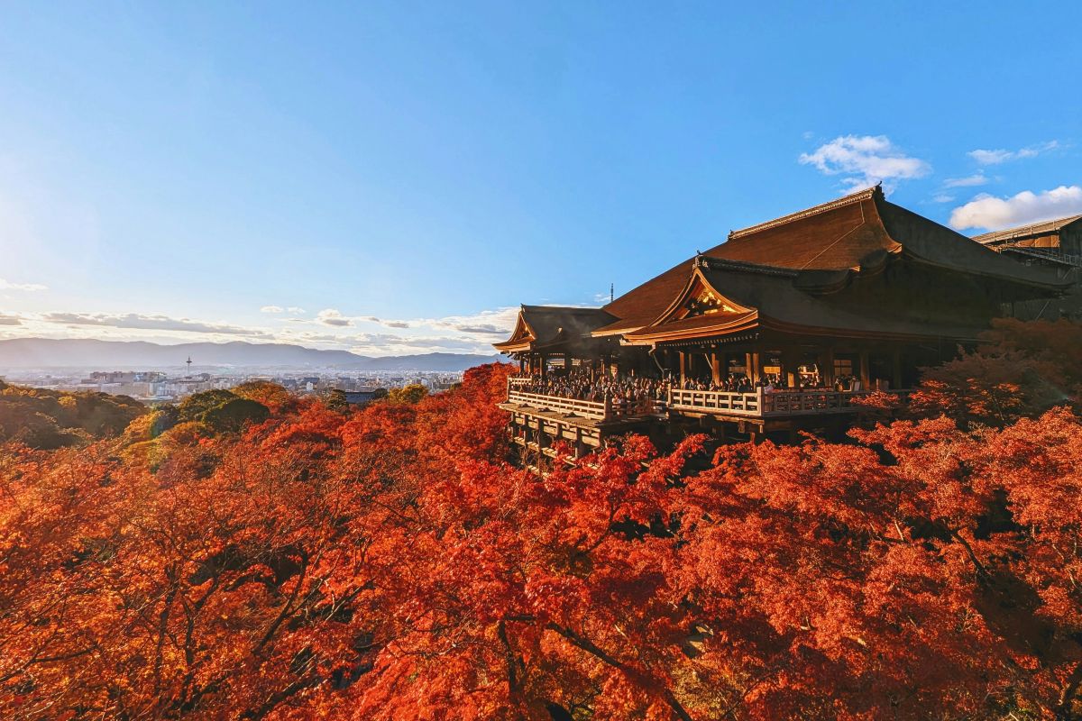 Colorful autumn leaves surrounding a traditional Japanese temple during the kōyō season.