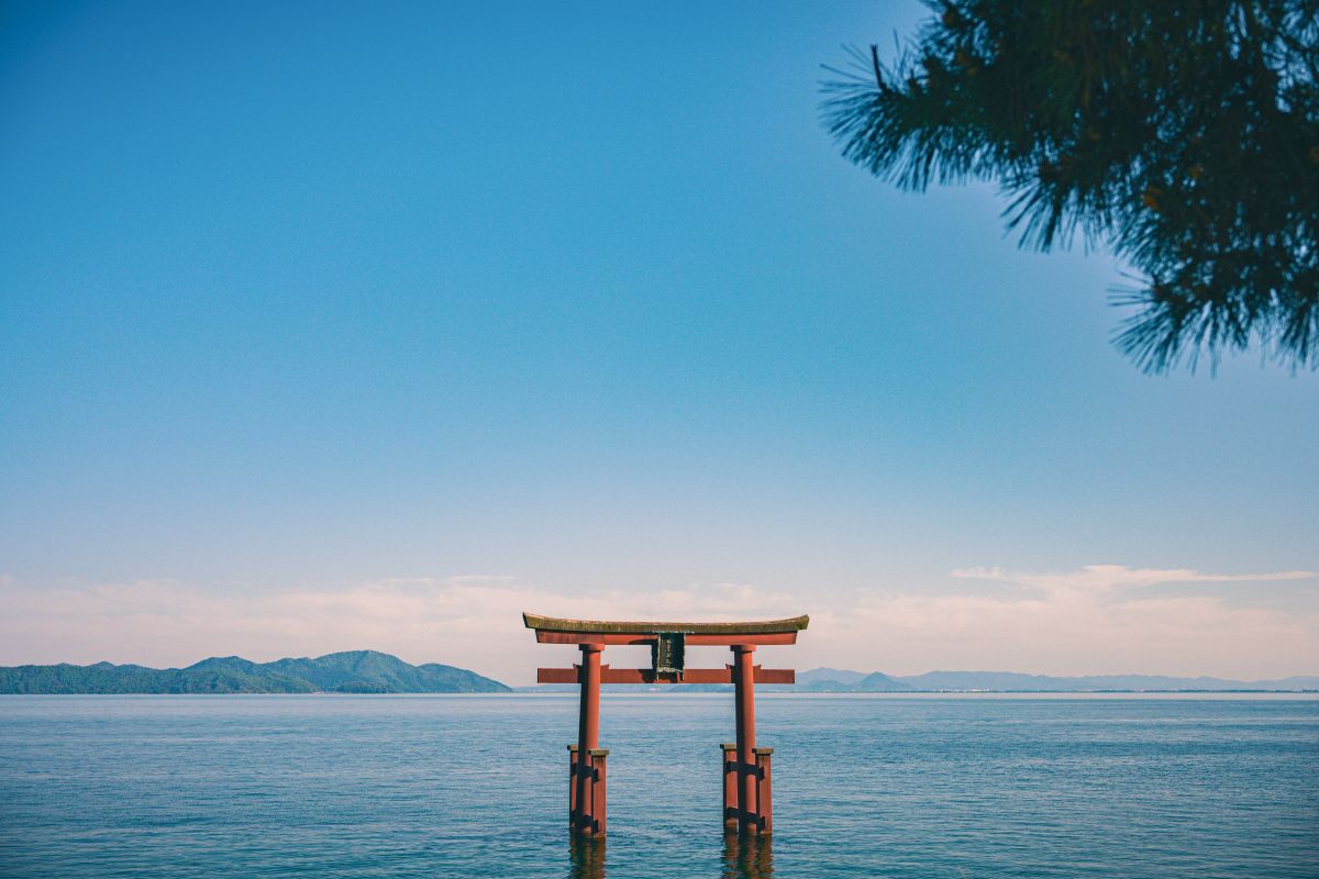 Visitors praying at a traditional Japanese shrine surrounded by nature