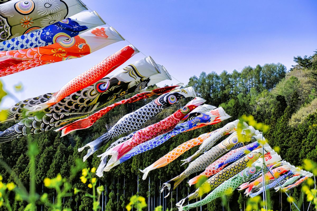 Colorful koinobori flying in the sky during Children's Day in Japan