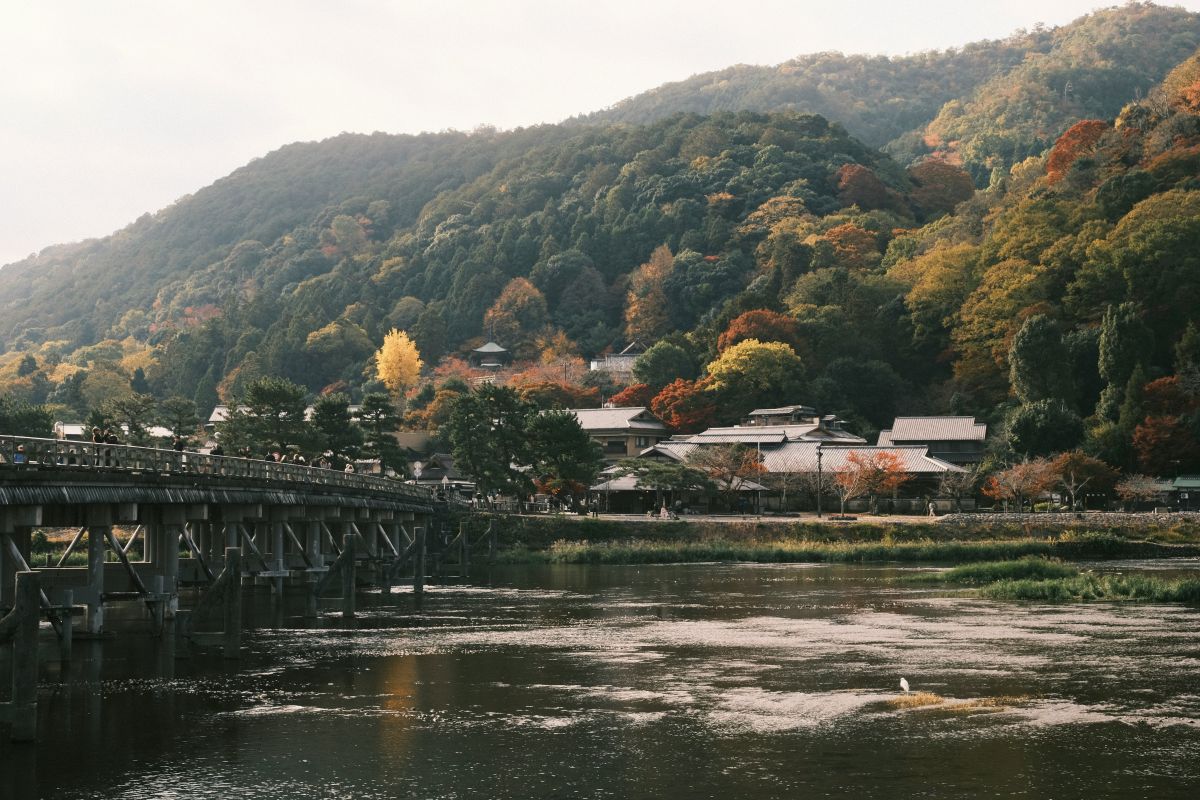 Traditional wooden bridge surrounded by nature in Japan