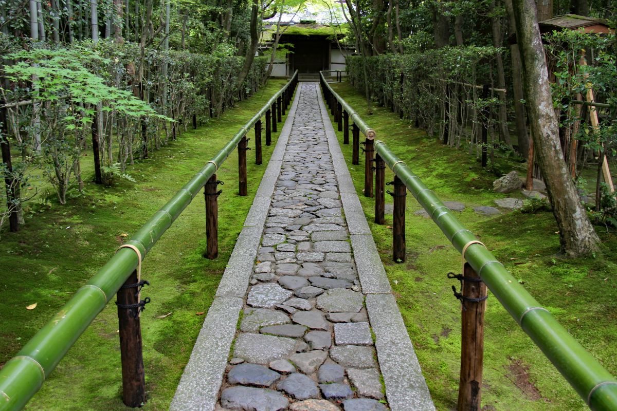 Lush green moss garden at a traditional Japanese temple