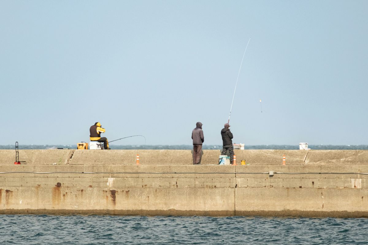 People enjoying recreational fishing along a scenic Japanese coastline