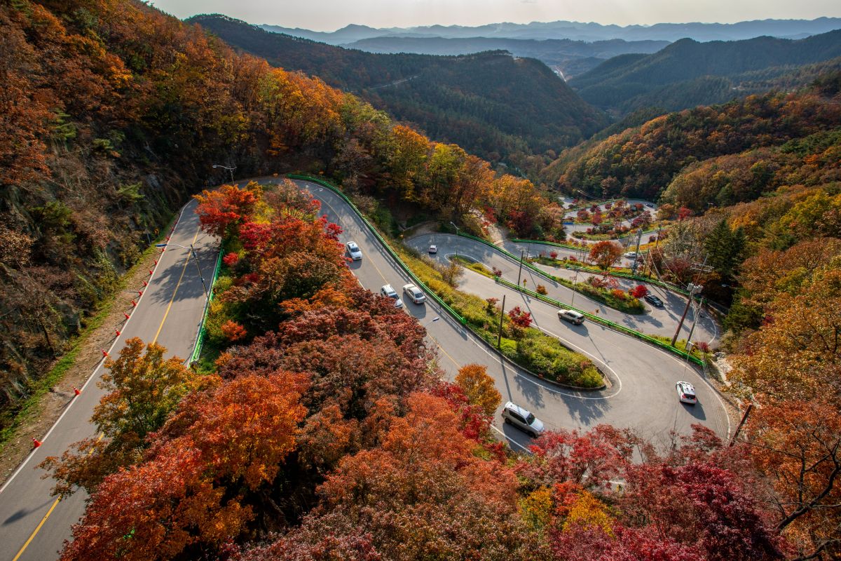 Winding mountain road surrounded by colorful autumn forests in Japan