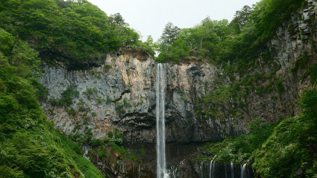 Large waterfall flowing through a peaceful forest in Japan