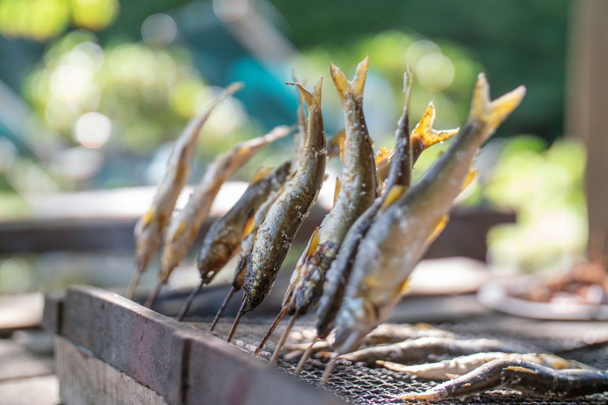 Traditional Japanese grilled ayu fish served near a crystal-clear mountain river