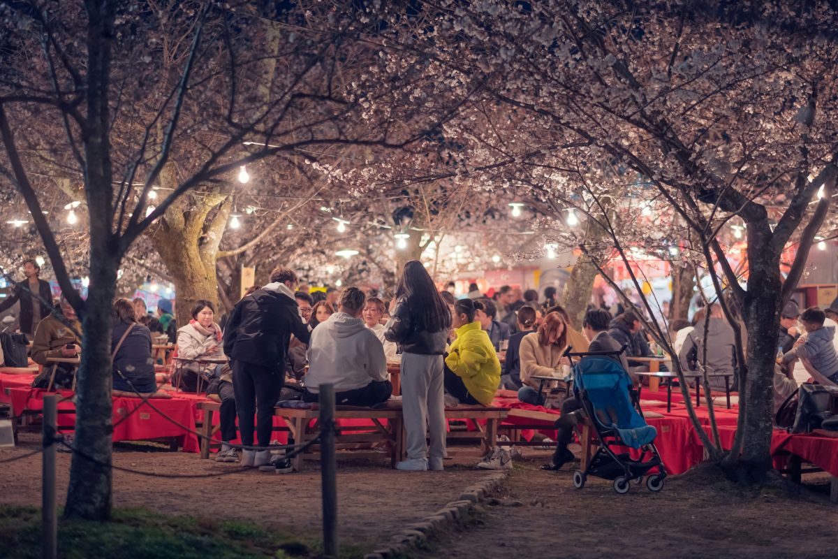 Families and friends enjoying a spring picnic beneath blooming cherry blossom trees in Japan
