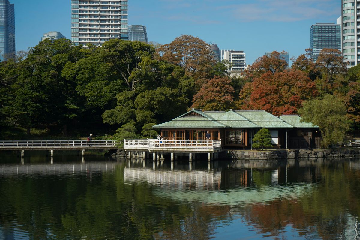 A traditional Japanese garden featuring a pond, stone lanterns, carefully shaped trees, and a peaceful walking path.