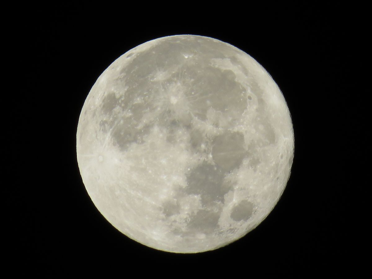 A full autumn moon above Japanese pampas grass with traditional tsukimi dango on display.